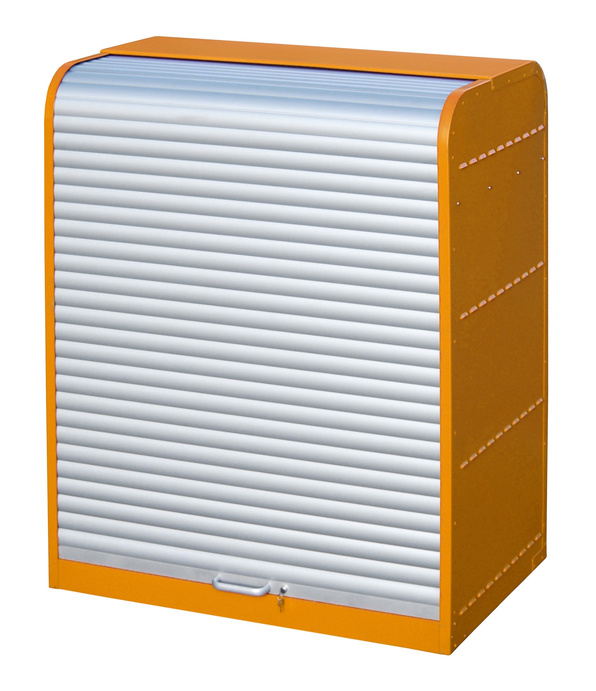 Hazardous Materials Cabinet with Roller Shutter Door RSG-1