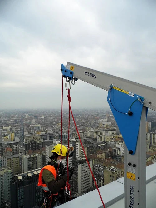 REID Lifting T DAVIT