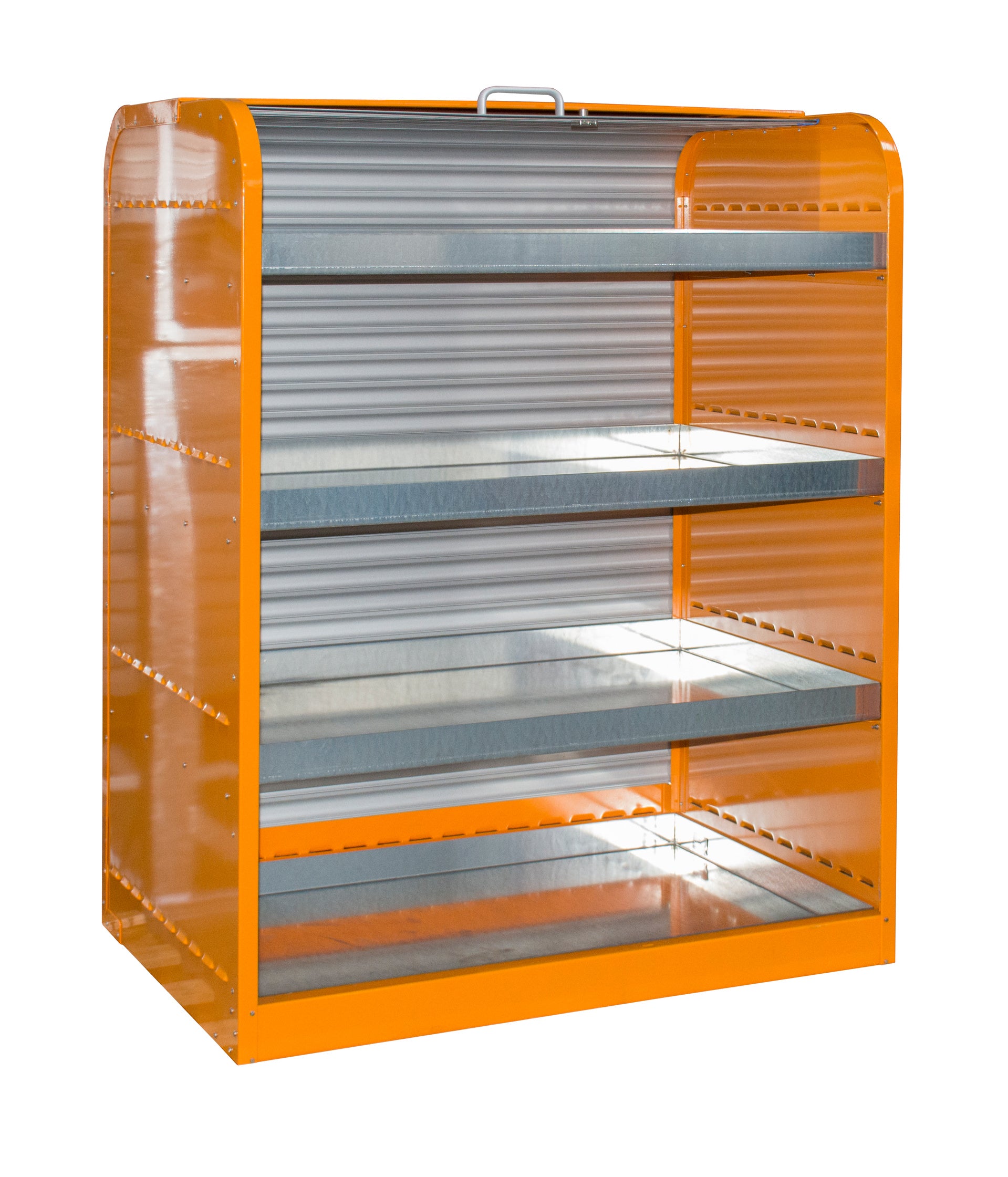 Hazardous Materials Cabinet with Roller Shutter Door RSG-4