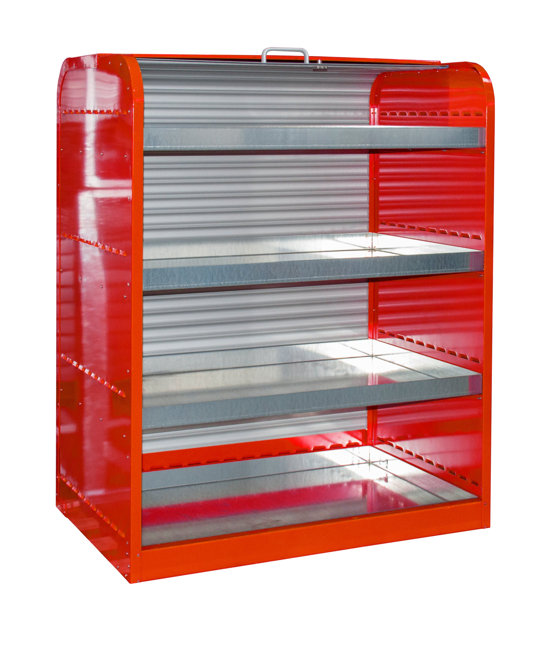 Hazardous Materials Cabinet with Roller Shutter Door RSG-4