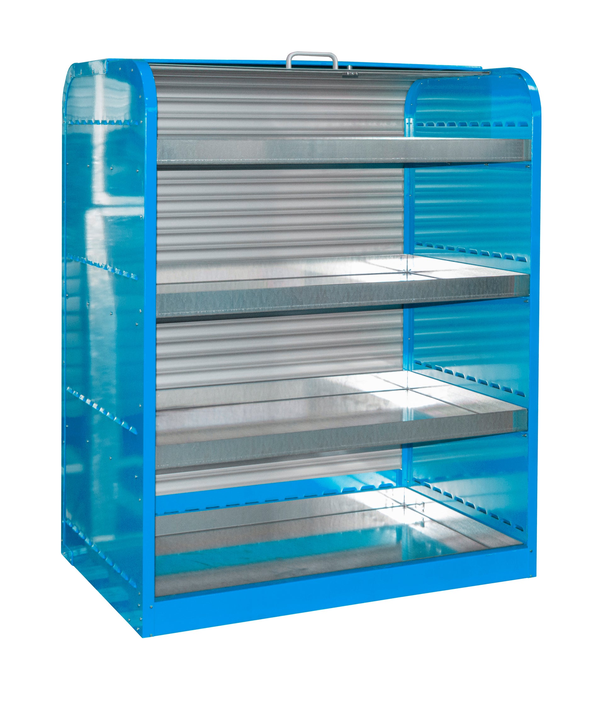 Hazardous Materials Cabinet with Roller Shutter Door RSG-4