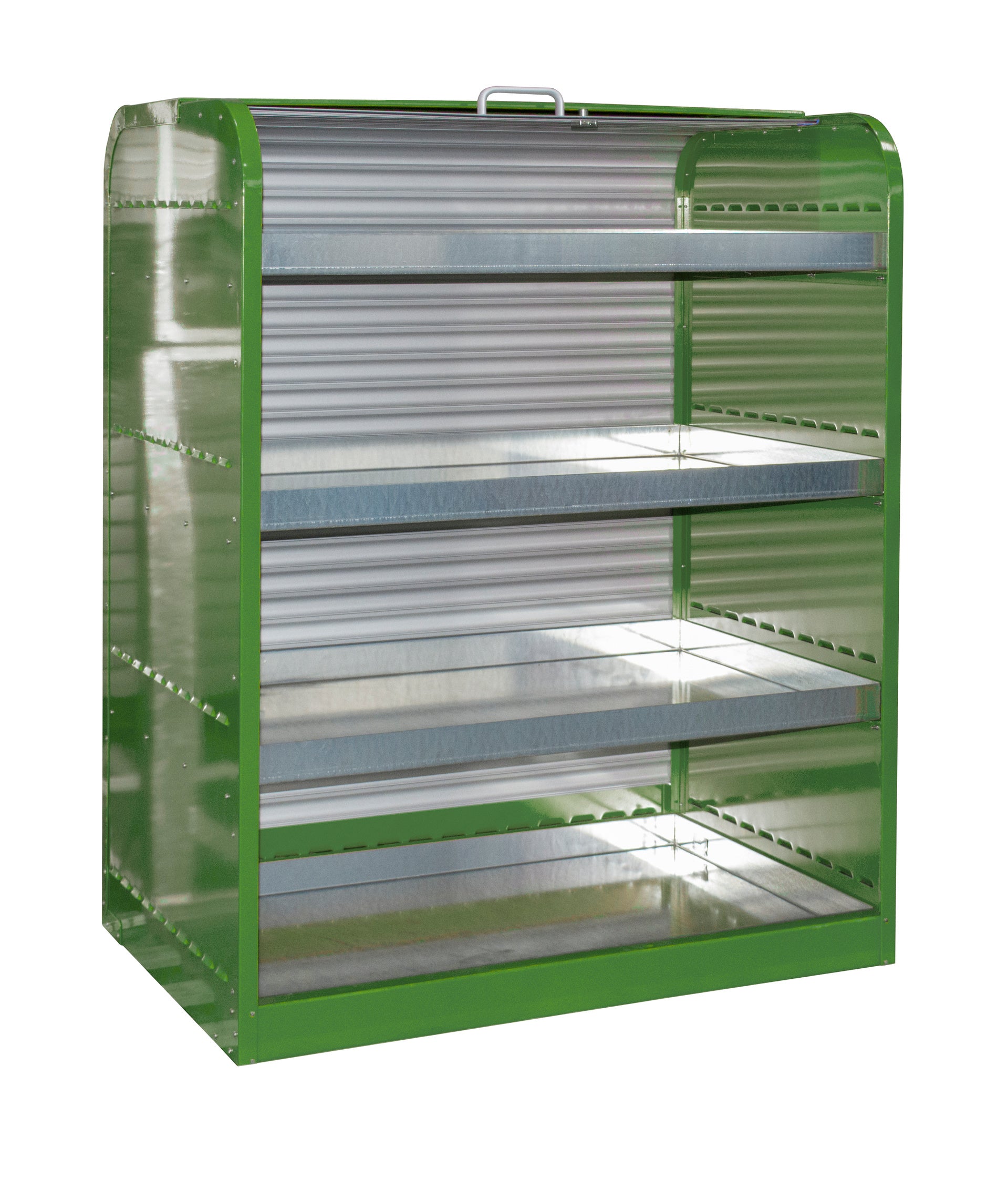 Hazardous Materials Cabinet with Roller Shutter Door RSG-4