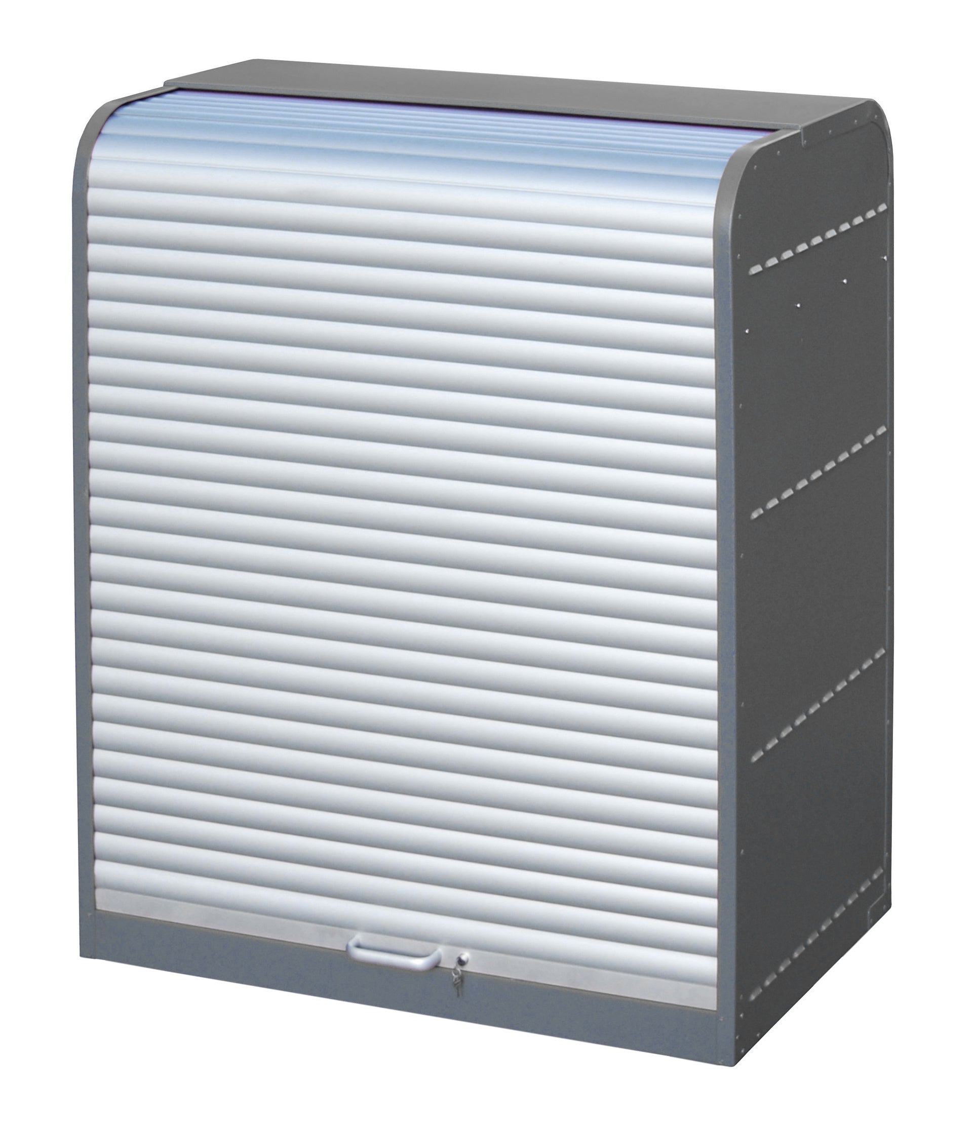 Hazardous Materials Cabinet with Roller Shutter Door RSG-2