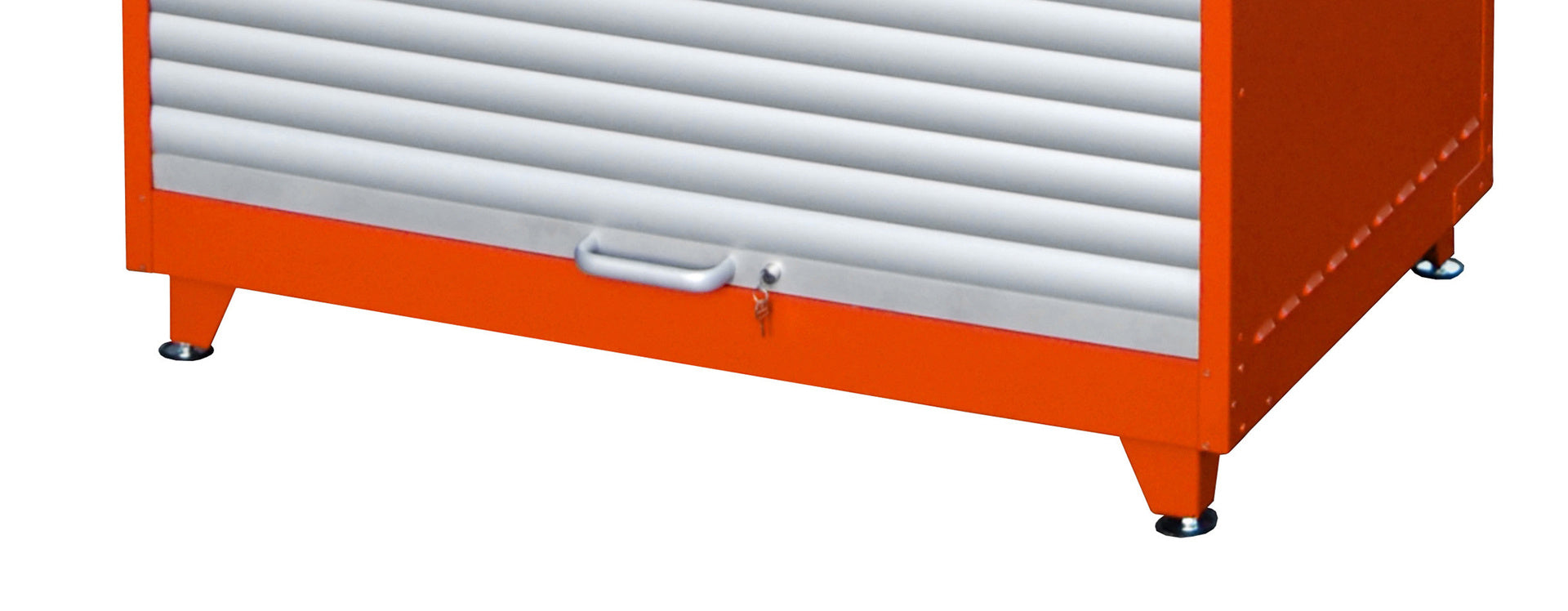 Hazardous Materials Cabinet with Roller Shutter Door RSG-2