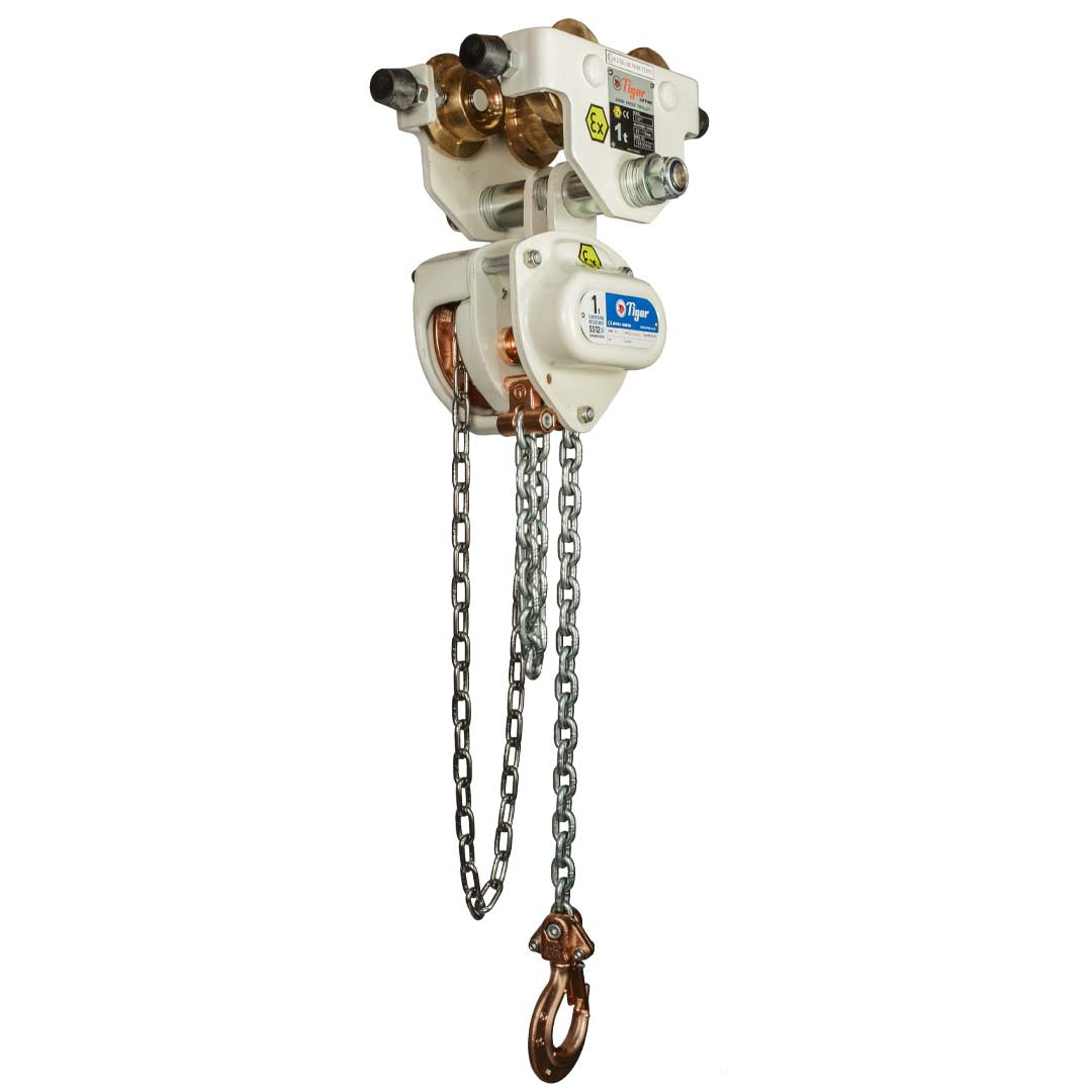 Combined Chain Block and Trolley